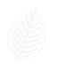 VeraTrace