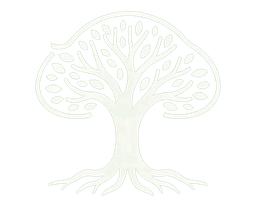 VeraTrace Logo