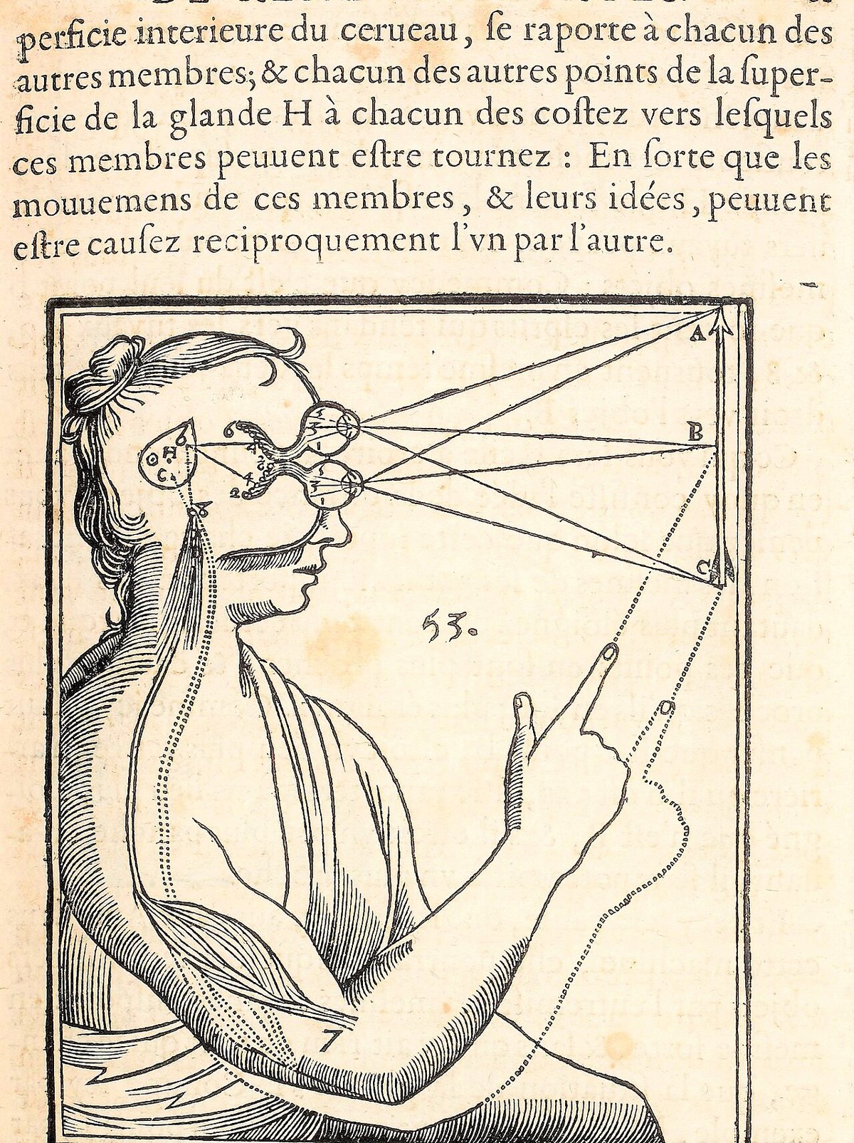Figure 33 from L’Homme by René Descartes (Clerselier edition, 1664): the pineal gland H, the eyes, and the arm