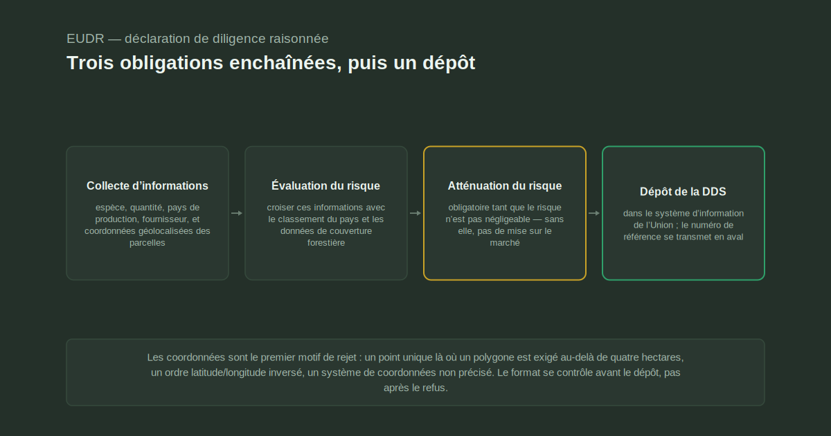 Chaîne de quatre étapes : collecte d’informations dont les coordonnées de parcelles, évaluation du risque, atténuation obligatoire tant que le risque n’est pas négligeable, puis dépôt de la DDS dans le système de l’Union.
